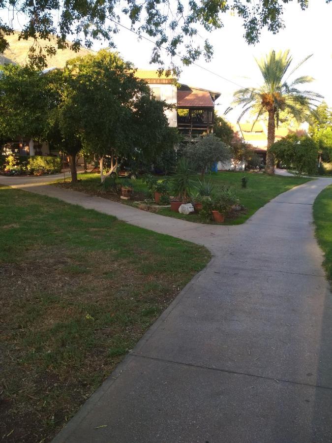 לטייל בחוץ להרגיש בבית Hephzibah Exterior foto